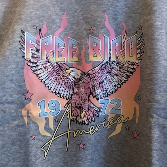 NWT light gray "free bird" sweatshirt - Picture 3 of 4